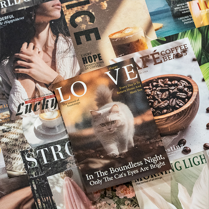 미스터페이퍼 30개입/봉투 빈티지 테마 소재 스티커북  - Vintage Collectible Magazines 리뷰 및 가격